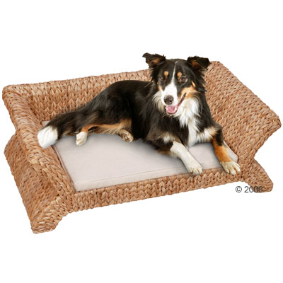 Mehr Infos zu Banana-Leaf Hundesofa - ca. L 75 x B 48 x H 27 cm