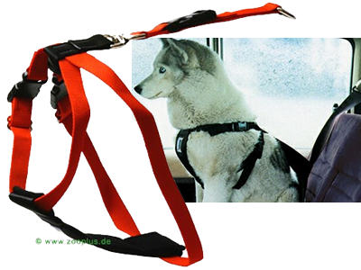 Sicherheitsgurt Hi-Craft - Größe XL: Brustumfang 68 - 117 cm