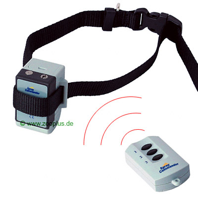 [Bild: 10678_dm_1.jpg]