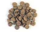 Kroketten