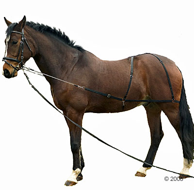 Longier und Trainingssystem - Vollblut / Pony