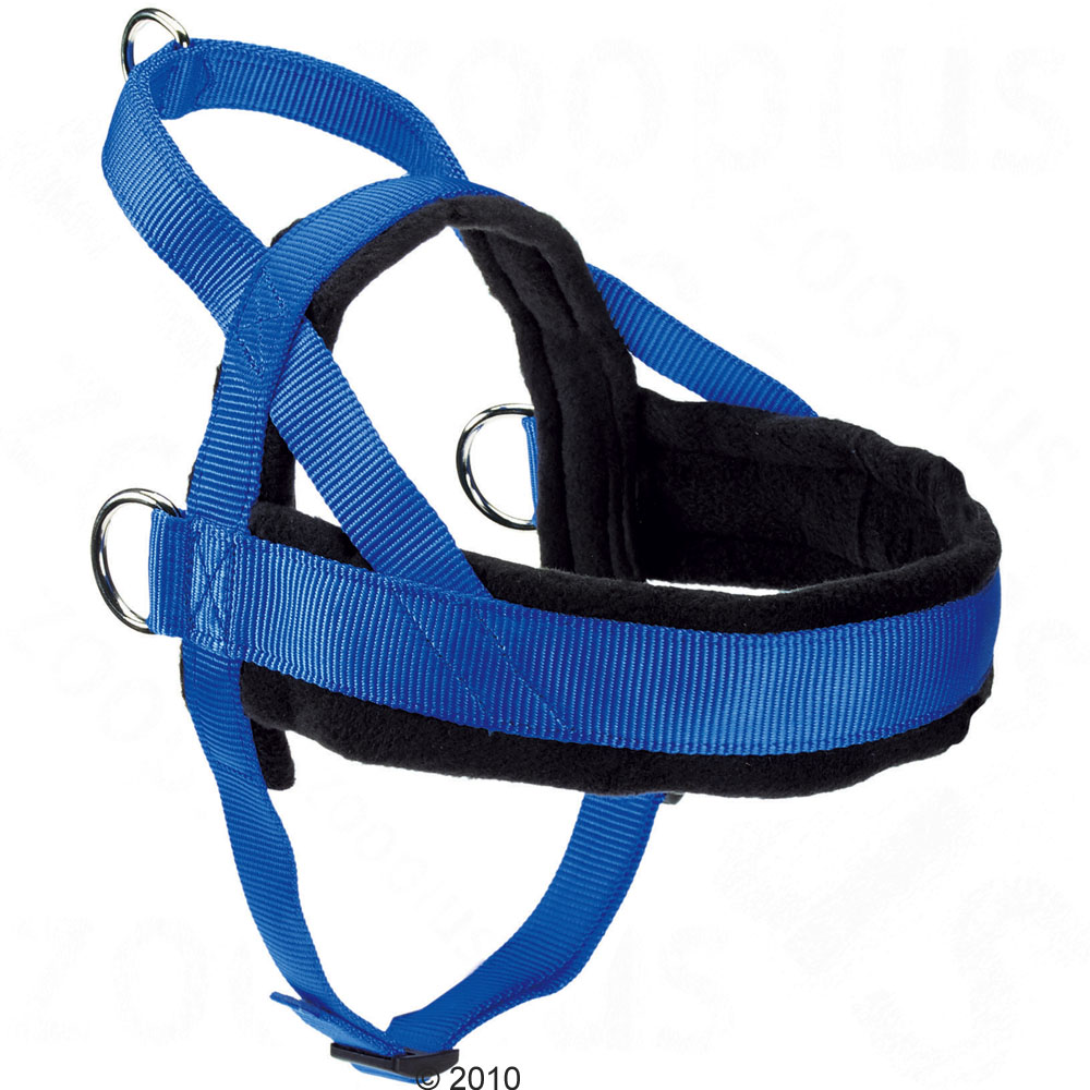 Hunter Norwegergeschirr - - Gr. M: 66 - 81 cm Brustumfang Preisvergleich
