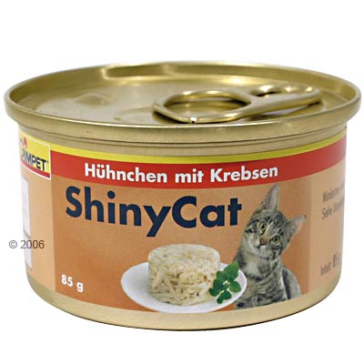 Shiny Cat