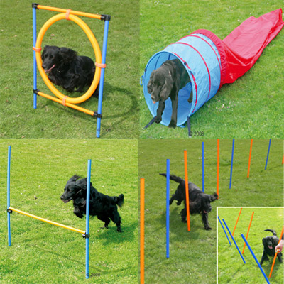 Agility Fun Sport Komplett Set Sparpaket mit 4 Einzelelementen