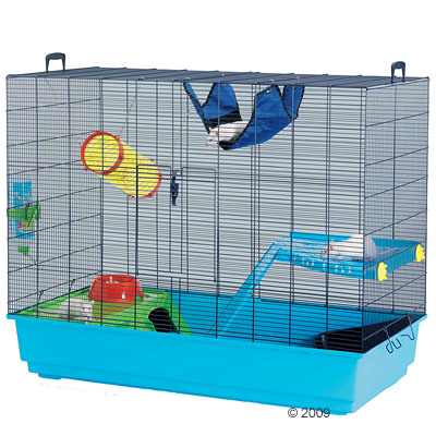 Rattenk�fig Freddy 3 - - Unterschale blau