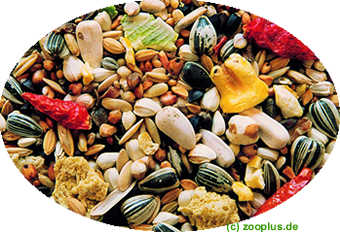 Dacapo Papageienfutter - - 15 kg