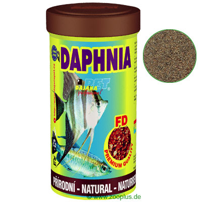 Dajanapet Daphnia Plankton - 250 ml