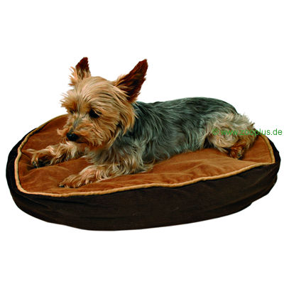 Cordkissen Jimmy - 80 x 55 x 12 cm