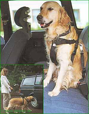 Trixie Hundegurt - Gr. S: Brustumfanng 30 - 60 Cm