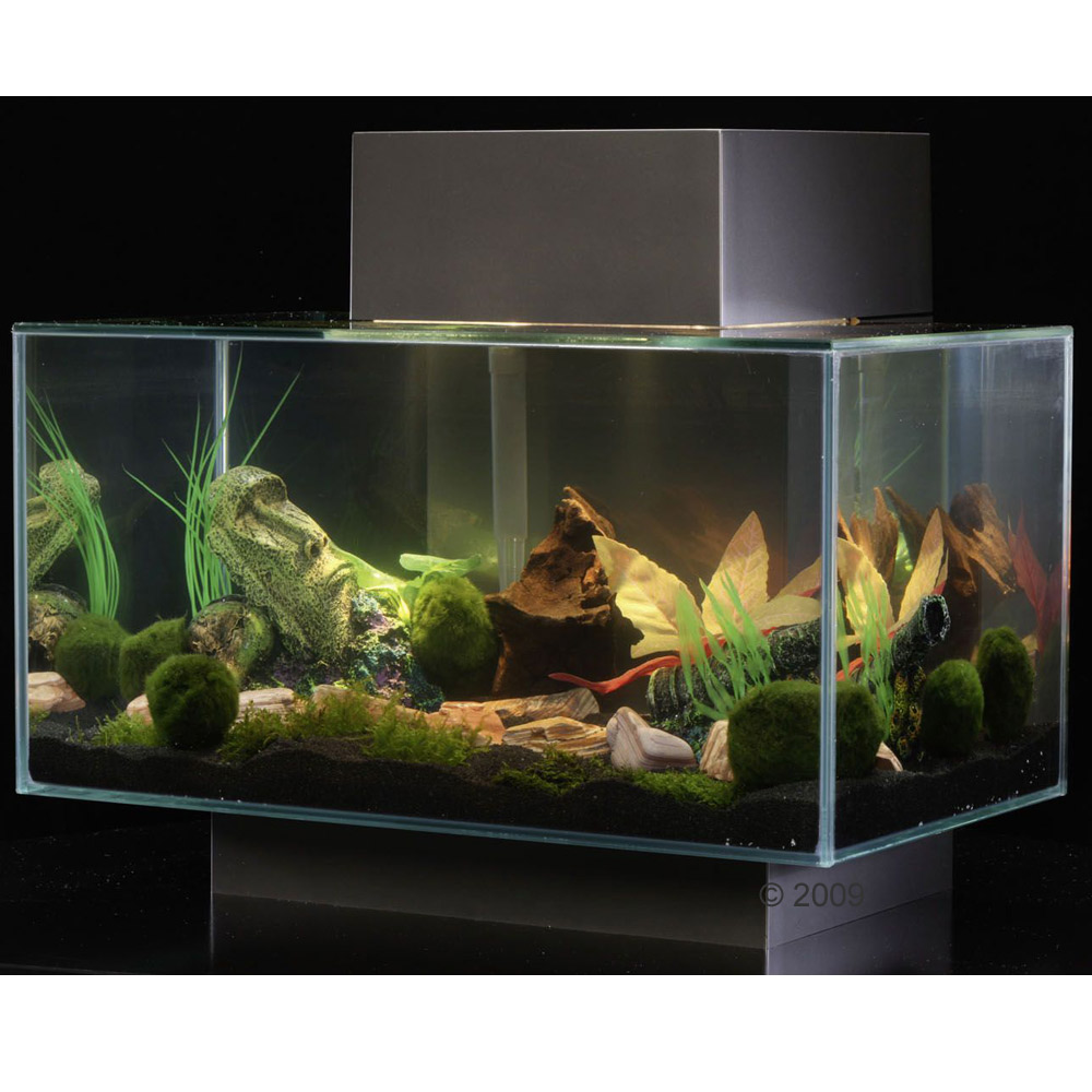 Fluval Edge Aquarium 25 Liter zinnfarben of zooplus Mein Haustiershop (156970 0) Fluval Edge Aquarium 25 Liter zinnfarben of zooplus Mein Haustiershop (156970 0)