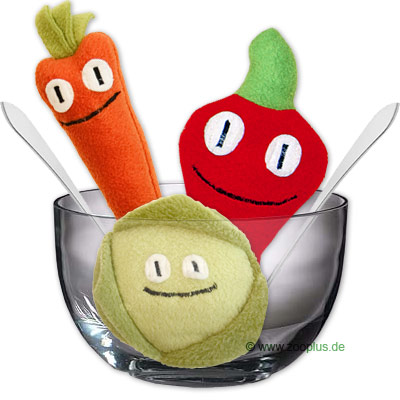 Salat Gärtnerinnen Art - Salat, Karotte und Paprika