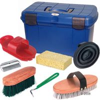 Putzkasten mit 7-teiligem Putzzeugset - - blau