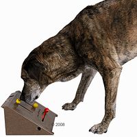 Preis vergleichen Hundespielzeug dog activity kicker - - 26 x 15 x 24 cm