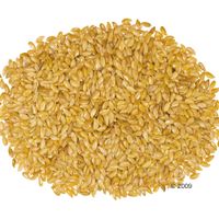 Marstall Sonnenlein Pferdefutter - - 25 kg