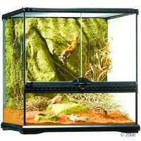 Preis vergleichen Hagen exo terra glas terrarium mit r�ckwand - - ma�e: l 60 x b 45 x h 60 cm