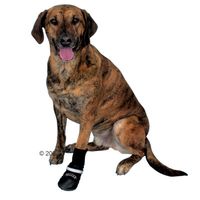 zooplus-Mein Haustiershop Walker Professional Hundeschutzstiefel - - Gr��e L