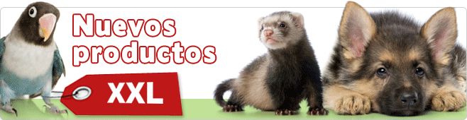 Artículos XXL