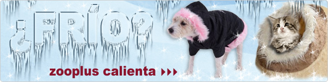 Invierno 2009/2010