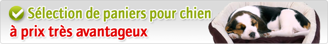 Paniers, coussins et couvertures pour chien les plus plébiscités