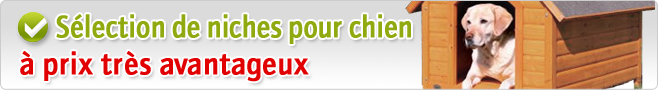 Niches pour chien les plus plébiscitées