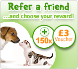 Refer a friend