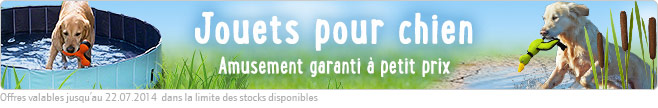 Jouets d'eau pour chien
