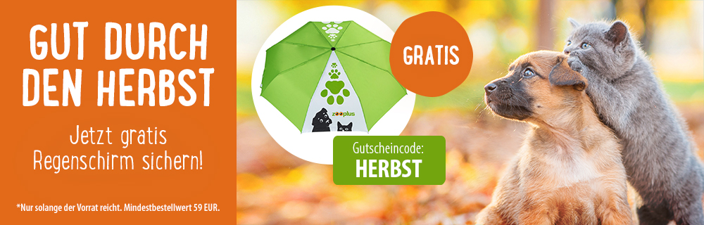 Gratis Regenschirm bei zooplus