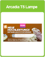 beleuchtung