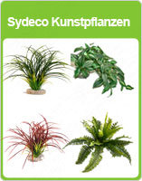 beleuchtung