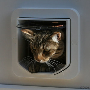 http://www.zooplus.de/shop/katzen/balkon_garten/katzenklappe_und_einbautuer/mikrochip_katzenklappe/136978