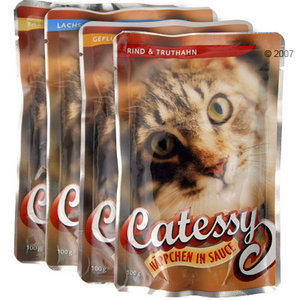 Catessy Pouch Probierpack 4 x 100 g Catessy Pouch Probierpack 4 x 100 g