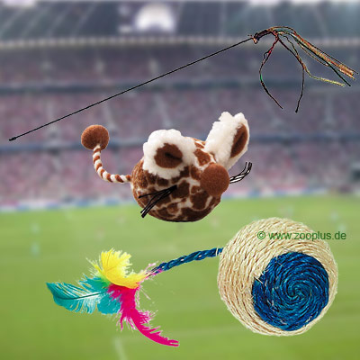 Paket Zirkeltraining - 3-teilig