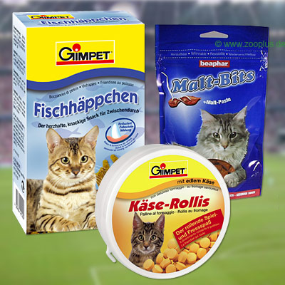 Paket Teambesprechung - 3 teilig