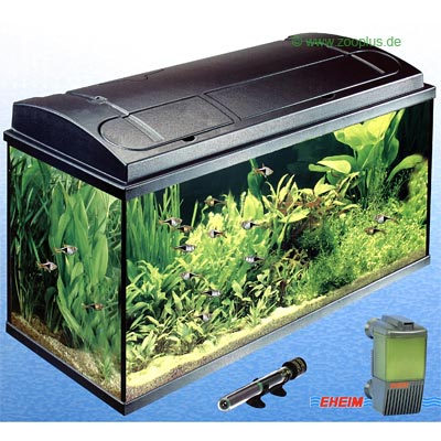 MP Kids Aquarienset 60 - Regalschrank 60/50 SB, schwarz, ohne Aq
