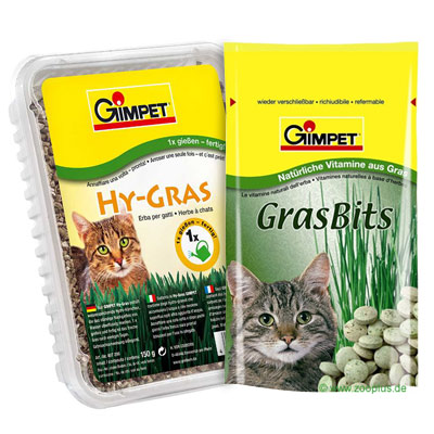 Gimpet Katzengras-Paket - 4 Jahreszeiten-Paket