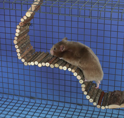 Hängebrücke für Hamster - 55 cm x 7 cm