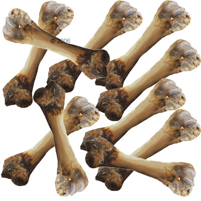 Original Parmaschinkenknochen Aktionspaket - ca. 23 cm