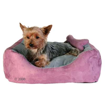 Hundebett Chippy - 40 x 40 x 15 cm