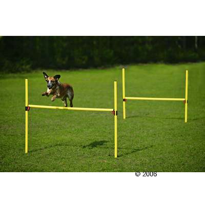 Agility Hürden-Set - Set
