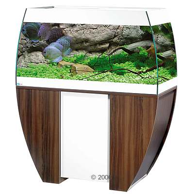 MP Scubabay Aquarium Kombination wei� anthrazit