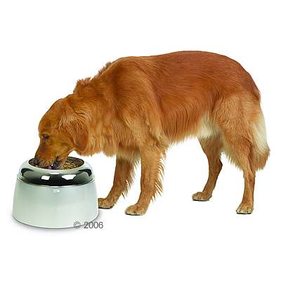Hagen Dogit erh�hter Futtternapf - transparent wei�/ silber