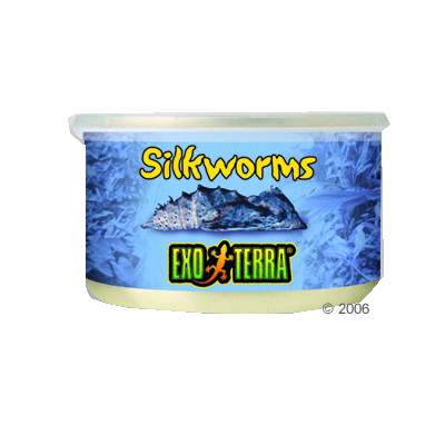 Hagen Exo Terra Silkworms (Pupae) Reptilienfutter - 34 g
