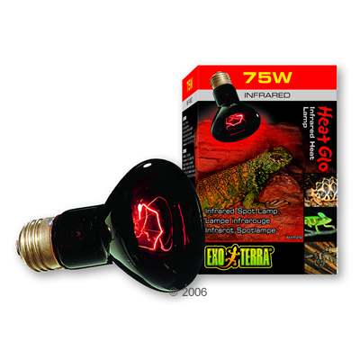 Hagen Exo Terra Infrarot-Wärmelampe Heat Glo - 100 W
