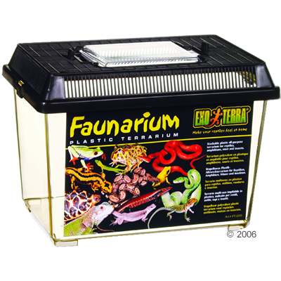 Hagen Exo Terra Faunarium - Ma�e: L 30 x B 19,5 x H 20,5 cm