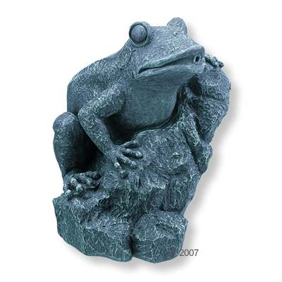 Ochsenfrosch auf Felsen - 1 Stück