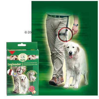 Leg Leader - 39 - 60 cm Oberschenkelumfang, Leine 60 cm lang