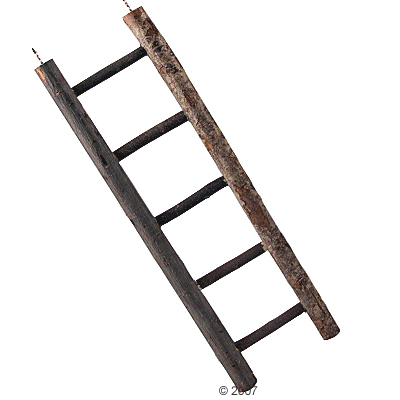 Gro�sittich- und Kleinpapageienleiter - L�nge 45 cm