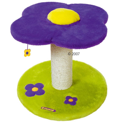 Kratzbaum Anis -