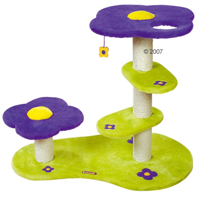 Kratzbaum Cassis -