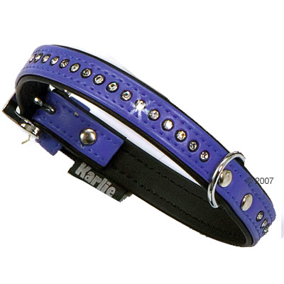 Hundehalsband Monte Carlo - blau 42 cm / 16 mm breit